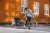 Thule Coaster XT